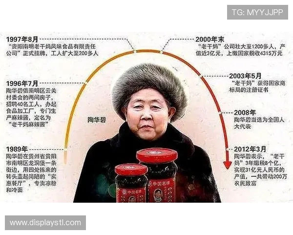 中国创业企业家的创新精神与成功之道：从草根到巨头的成长历程